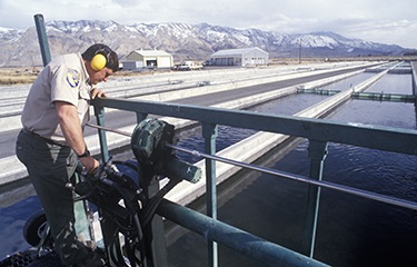 Doanh thu nuôi trồng thủy sản ở Mỹ tăng