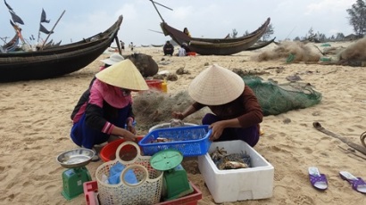 Quảng Trị: Ngư dân vùng biển Hải Lăng trúng mùa ghẹ