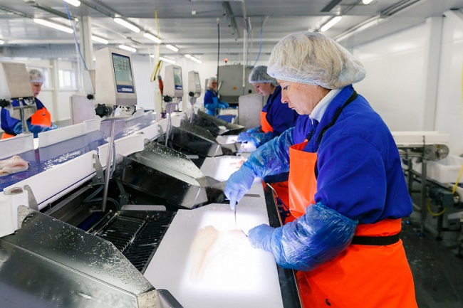 Giá cá tuyết dự kiến giảm vào năm 2021 do nguồn cung dồi dào và tác động tiếp diễn của dịch COVID 19