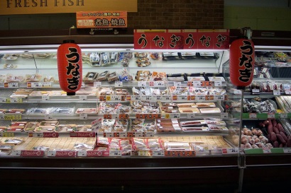 Nguy cơ thủy sản bất hợp pháp đi vào Nhật Bản 