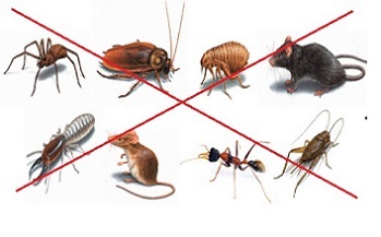 7/12/2017 -[Cần Thơ] Khóa đào tạo K25.17 “Phân tích khuynh hướng và kiểm soát hiệu quả động vật gây hại trong nhà máy CB TS”