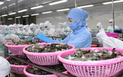 Kiến nghị Chính phủ hỗ trợ truyền thông hình ảnh cá tra tại châu Âu