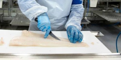 Giá philê cá minh thái giảm ảnh hưởng tới sản xuất