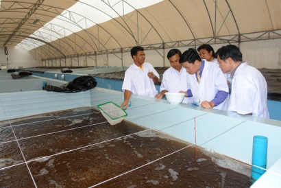 Thành lập Khu nông nghiệp ứng dụng công nghệ cao phát triển tôm Bạc Liêu