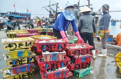 Thừa Thiên Huế: Đầu năm ra khơi