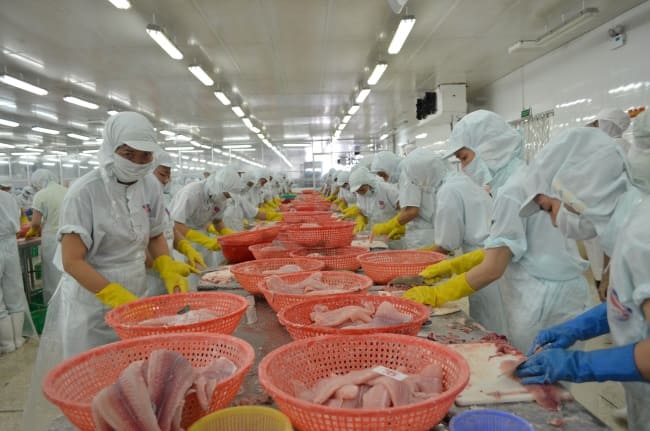 Xuất khẩu thủy sản tháng 6/2020 tiếp tục giảm 10%