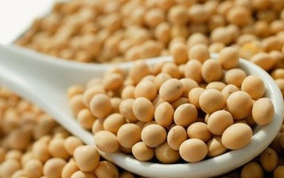 Brazil: Hoạt động bất hợp pháp trong sản xuất đậu nành là mối quan tâm lớn trong ngành nuôi trồng thủy sản