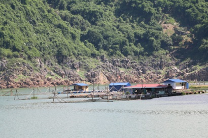 Hòa Bình: Xã Thung Nai xây dựng thương hiệu cá sạch