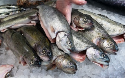Đức: Tiêu thụ thủy sản bình quân đầu người tăng lên 14,2kg