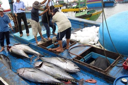 EC sẽ xem xét lại vấn đề “thẻ vàng” của Việt Nam vào tháng 1/2019