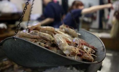 Ecuador: Xuất khẩu tôm tiếp tục tăng trong tháng 4/2019