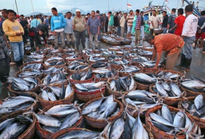 Indonesia: Hệ thống kiểm soát mới cho các sản phẩm thủy sản nhập khẩu
