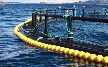 Trung Quốc tiếp tục chiến dịch môi trường, ảnh hưởng đến sản lượng thủy sản nuôi