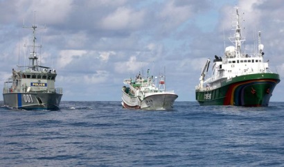 Tàu Đài Loan bị bắt vì đánh bắt cá mập bất hợp pháp