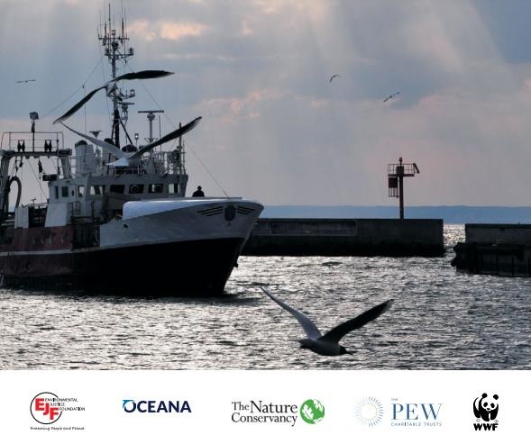 EU đứng đầu về giám sát thủy sản nhập khẩu