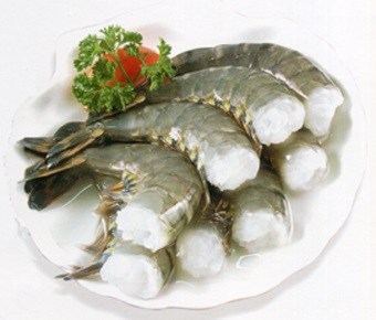 Thị trường tôm sú nuôi đông lạnh ở châu Âu