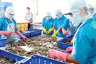 Hiệp định thương mại tự do Việt Nam – EU có hiệu lực, tạo cơ hội xuất khẩu thủy sản