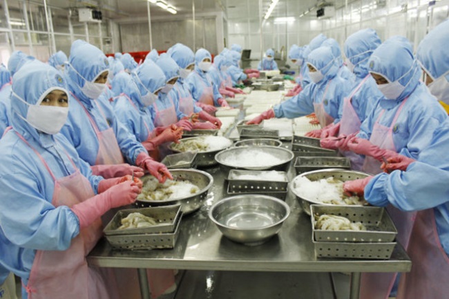 Xuất khẩu tôm Việt Nam trong tháng 10/2019 giảm nhẹ