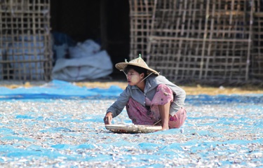 Myanmar: Dịch Covid-19 không ảnh hưởng nhiều đến xuất khẩu thủy sản sang Trung Quốc 