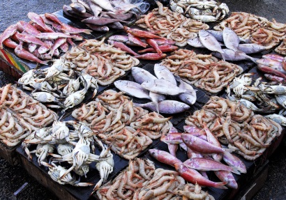 FAO: Xuất khẩu thủy sản thế giới năm 2015 giảm 10% 
