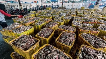 Co-op, Sainsbury’s và Tesco ký hiến chương về IUU và lao động nô lệ