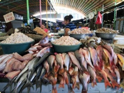 Ngành nuôi trồng thủy sản Peru có thể tăng trưởng 20% năm 2019 