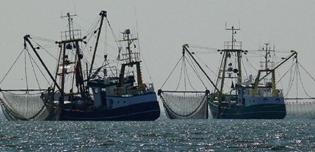 EU phải tôn trọng cam kết chấm dứt tình trạng lạm thác vào năm 2020