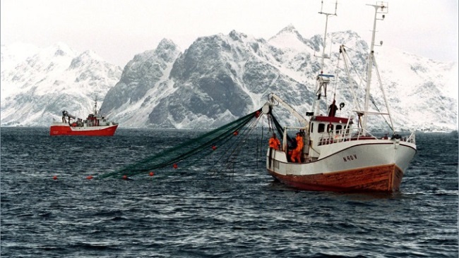 Sản lượng thủy sản của Nga giảm 2% trong năm 2019