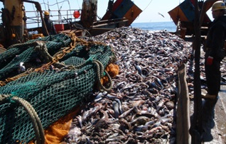 NFI kiện NOAA về quy định IUU mới