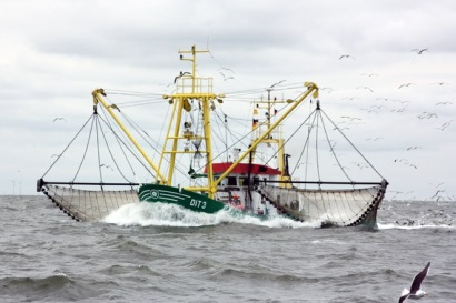 Ngư trường khai thác tôm nâu Biển Bắc được chứng nhận MSC