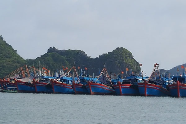 Thông cáo báo chí: Doanh nghiệp Hải sản Việt Nam kiên định với Cam kết chống khai thác IUU