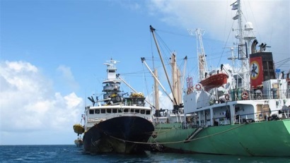 Pew: cần phải kiểm soát việc chuyển tải cá ngừ