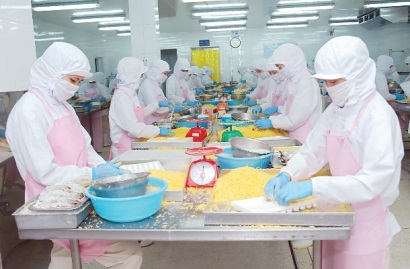 Thay đổi tư duy xuất khẩu cá tra sang EU: Tăng giá, tăng chất lượng