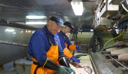 Na Uy và Nga tăng 2% hạn ngạch cá tuyết biển Barents năm 2020 