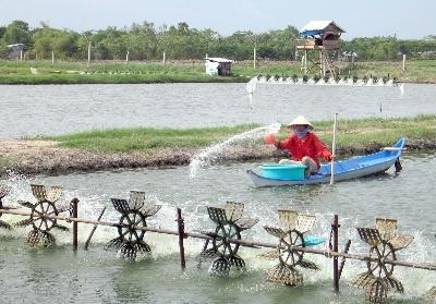Thành phố Hồ Chí Minh: Sản lượng thuỷ sản tháng 1 giảm 15%