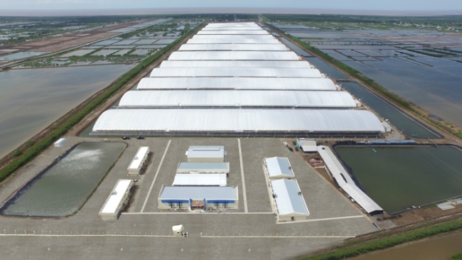 Tập đoàn Việt - Úc: Khu nuôi tôm ứng dụng công nghệ cao đạt các chứng nhận quan trọng