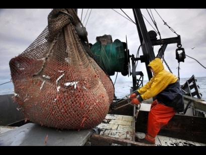 Giá tôm nước lạnh tăng trở lại