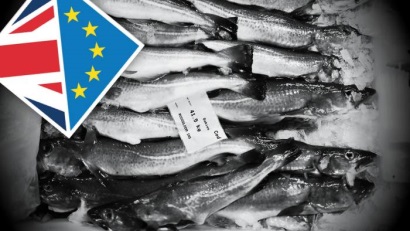 Ngành thủy sản của châu Âu đối mặt với nhiều bất ổn hơn sau khi bỏ phiếu Brexit