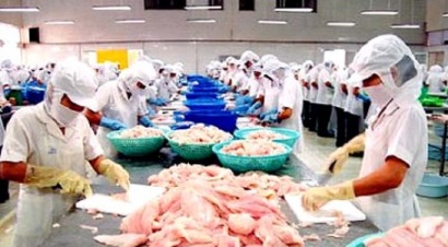 Ủy ban Châu Âu sẽ thanh tra hệ thống kiểm soát an toàn thực phẩm thủy sản Việt Nam