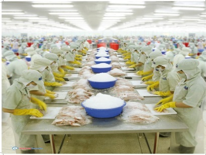 Hung Vuong Corp: Lãi hơn 58 tỷ đồng quý đầu năm tài chính mới 