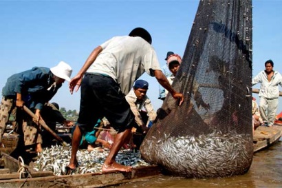 Thái Lan đẩy mạnh các biện pháp nghiêm ngặt hơn chống lại khai thác bất hợp pháp