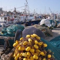 Oceana lên án khai thác bất hợp pháp, không theo quy định trên vùng biển Địa Trung Hải