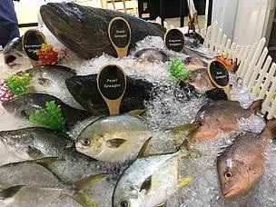 Malaysia: Hiệp hội người tiêu dùng tuyên bố cá có thể là sản phẩm không Halal