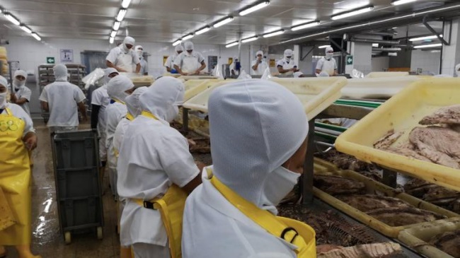 Mỹ còn chần chừ xóa bỏ thuế cho cá ngừ đóng túi của Ecuador