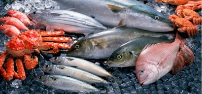 Thương mại thủy sản toàn cầu tăng trưởng chậm 