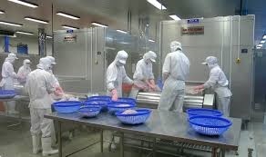 Hội thảo lấy ý kiến góp ý Dự thảo Thông tư “Quy định mức tiêu hao năng lượng trong ngành chế biến thủy sản” 