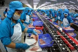 Khóa đào tạo :"HACCP cơ bản trong DN Chế biến Thủy sản"