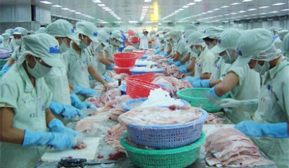 Rào cản xuất khẩu cá tra năm 2016