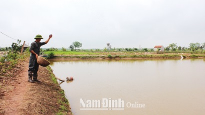 Nam Định: Phát triển nuôi thủy sản nước ngọt ở Hải Long