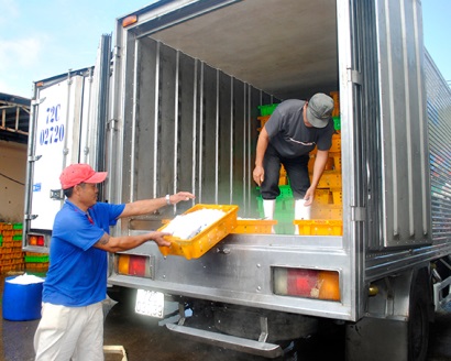 Phát triển "Chuỗi hải sản an toàn"